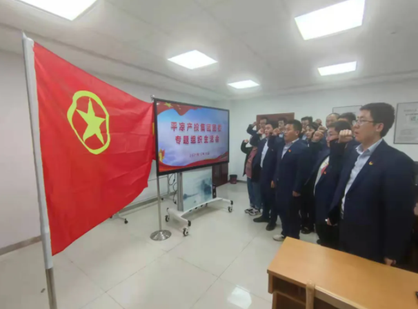 完美在线平台团委召开2021年度专题组织生活会(图5)