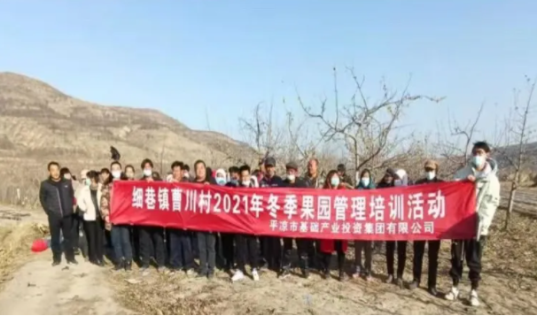 MK在线在静宁帮扶村开展冬季果园管理培训(图3)