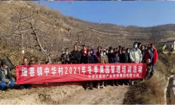 MK在线在静宁帮扶村开展冬季果园管理培训(图6)