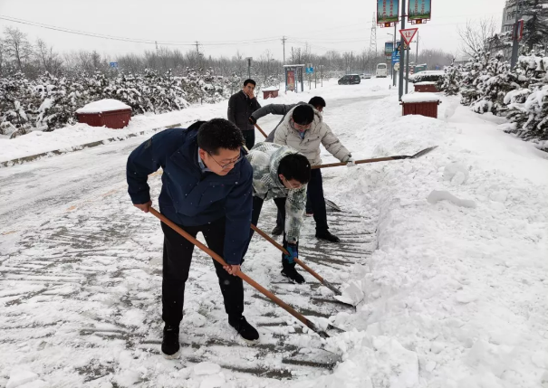 MK在线组织全体员工扫雪除冰(图2)